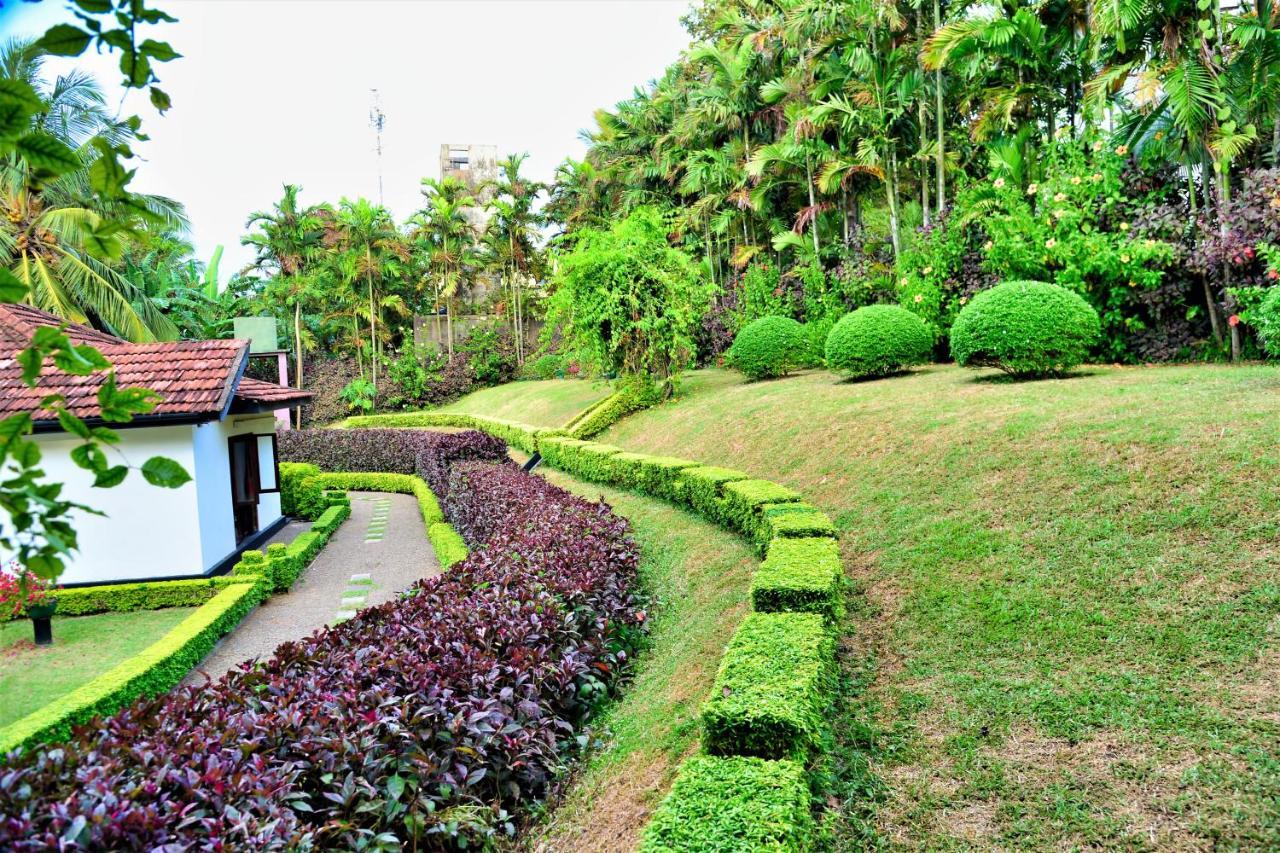 Bed and Breakfast Camellia Dwelling Hikkaduwa Zewnętrze zdjęcie