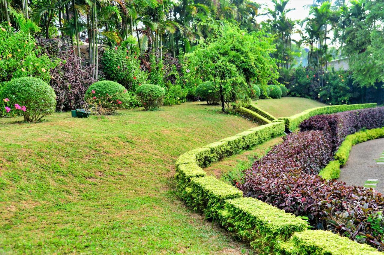 Bed and Breakfast Camellia Dwelling Hikkaduwa Zewnętrze zdjęcie